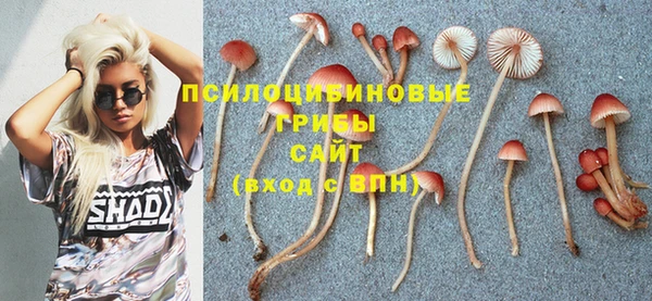 спайс Балахна