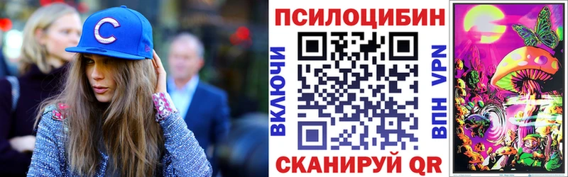 что такое наркотик Мариинск Галлюциногенные грибы Magic Shrooms
